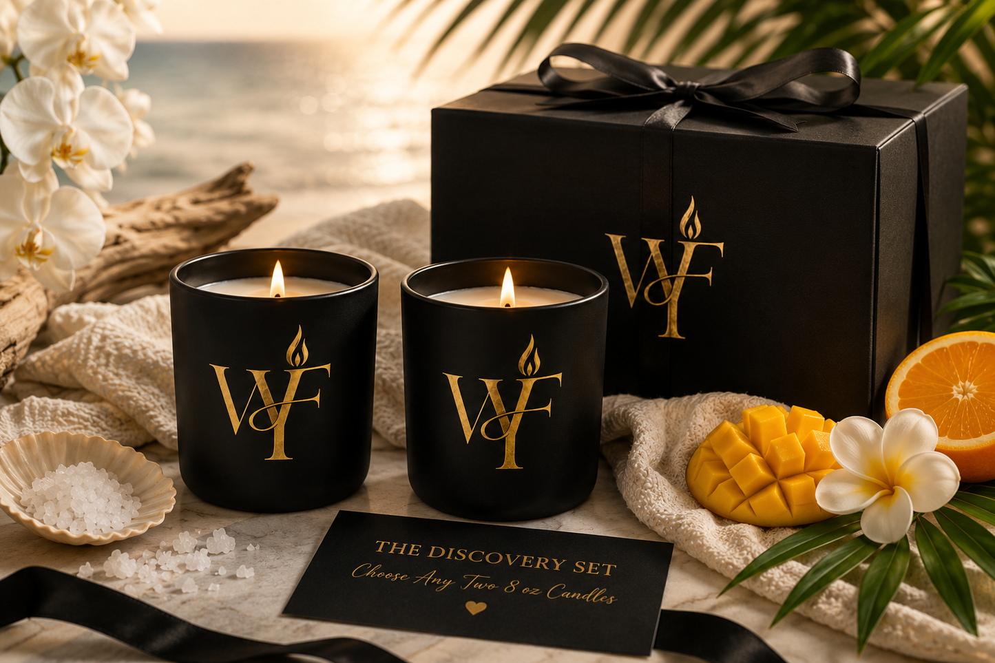 ✨ The Discovery Set