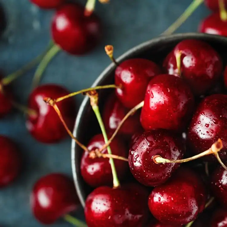 Black Cherry Merlot ~ Luxury Coconut Apricot Wax 10 oz Candle