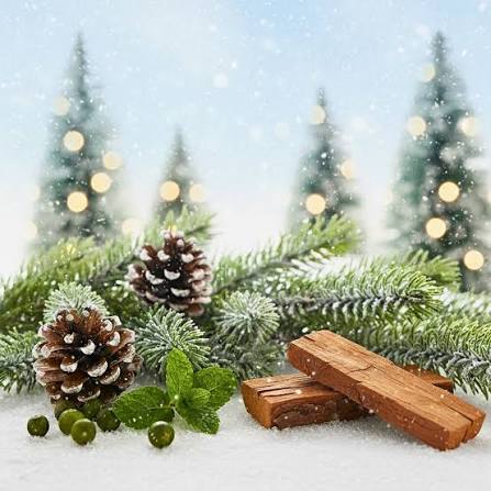Fraser Fir ~ Luxury Coconut Apricot 10 Oz Candle